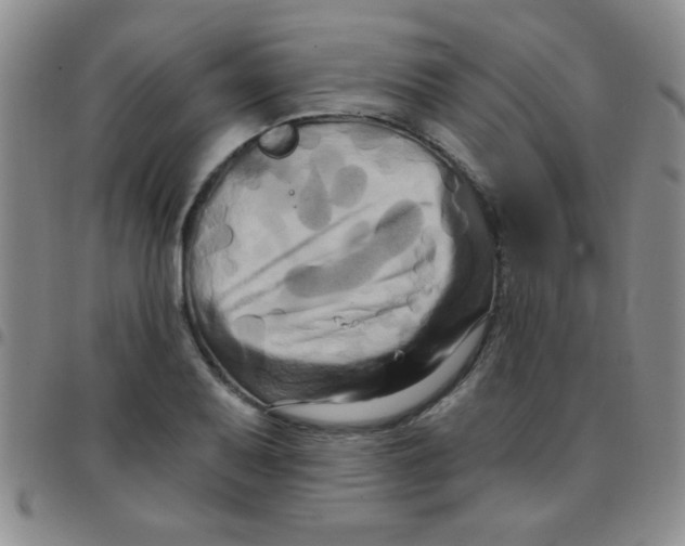 X0000097491079200803141952