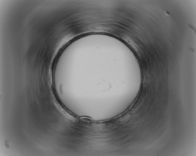 X0000097491080200803141952