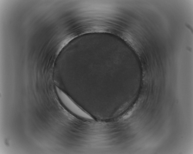 X0000097491081200803141952