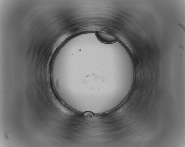 X0000097491082200803141952