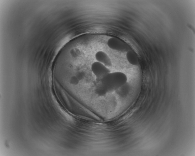 X0000097491083200803141951