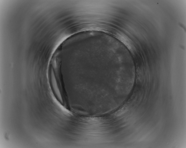 X0000097491084200803141951