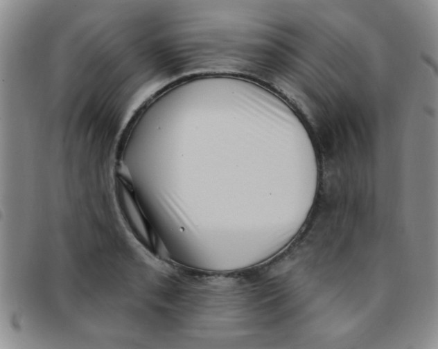 X0000097491085200803141951