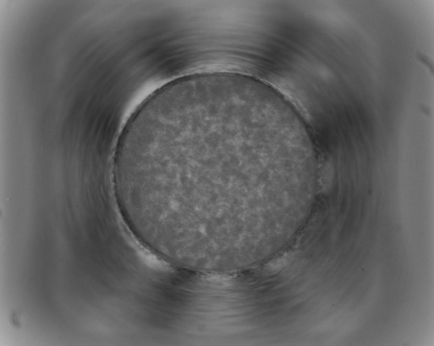 X0000097491086200803141951