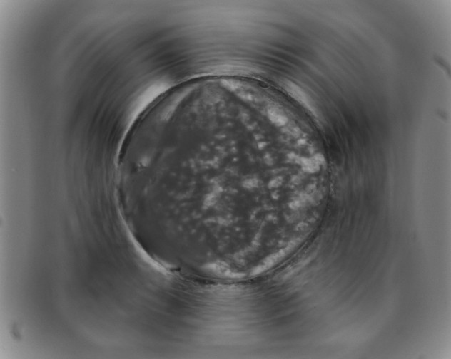 X0000097491087200803141951