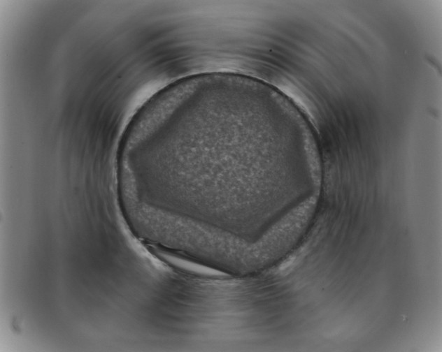 X0000097491088200803141951