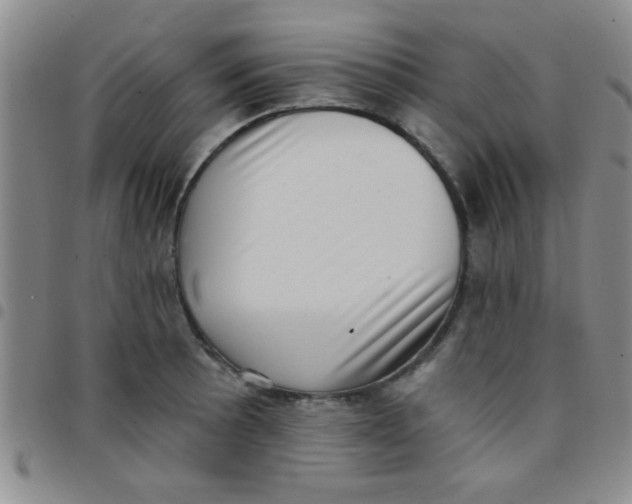 X0000097491089200803141951