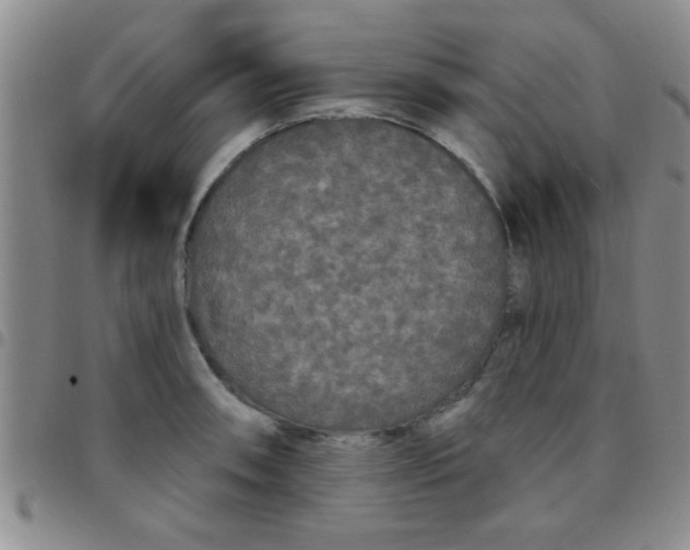 X0000097491090200803141951