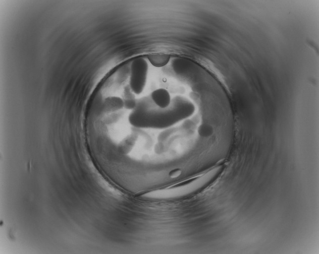 X0000097491091200803141951