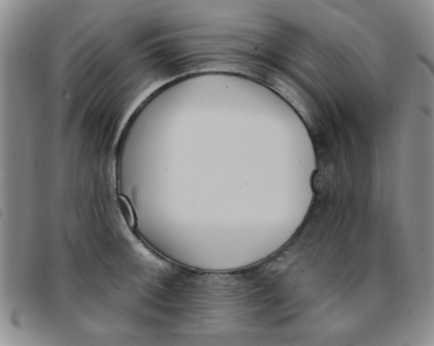 X0000097491092200803141951