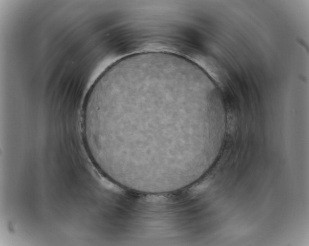 X0000097491094200803141951