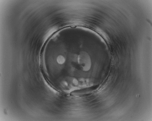 X0000097491095200803141951