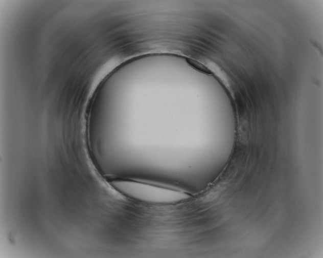 X0000097491096200803141951