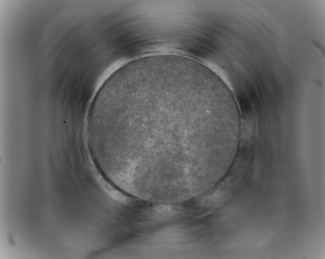 X0000097491098200803141951