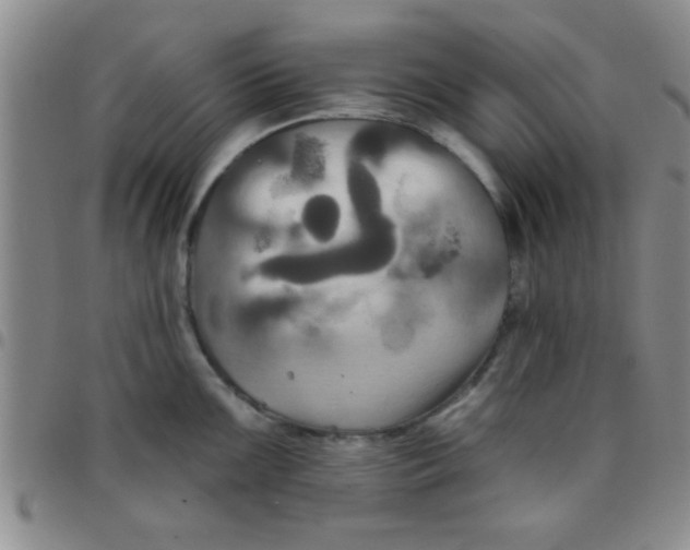 X0000097491099200803141951