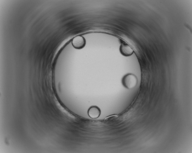 X0000097491100200803141951