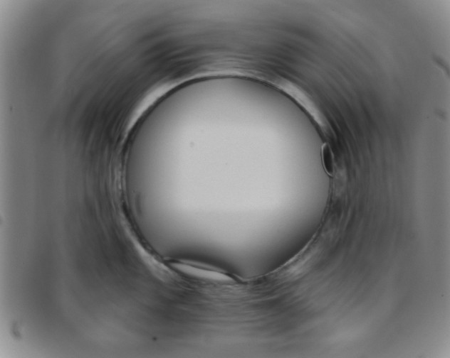 X0000097491101200803141951