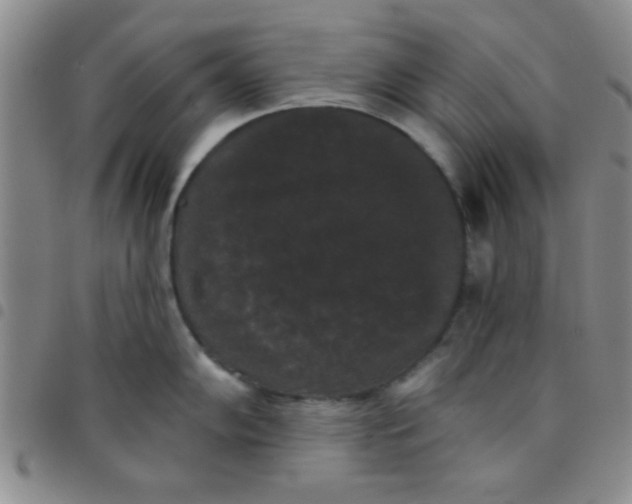 X0000097491102200803141951