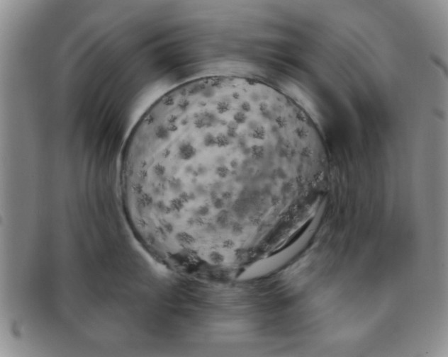 X0000097491103200803141951