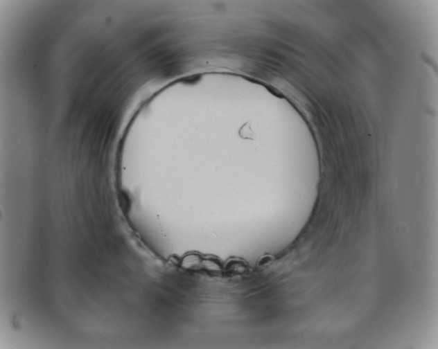 X0000097491104200803141951