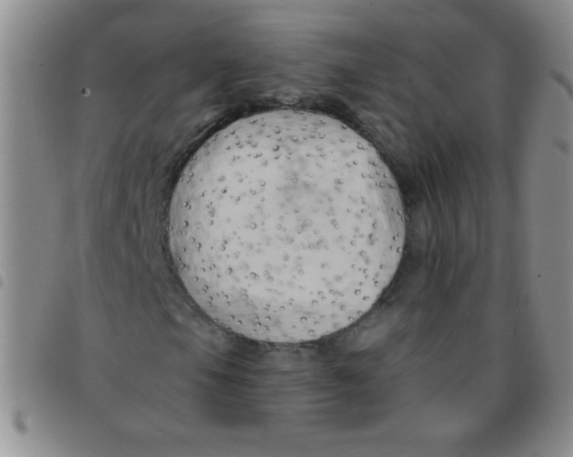 X0000097491105200803141951