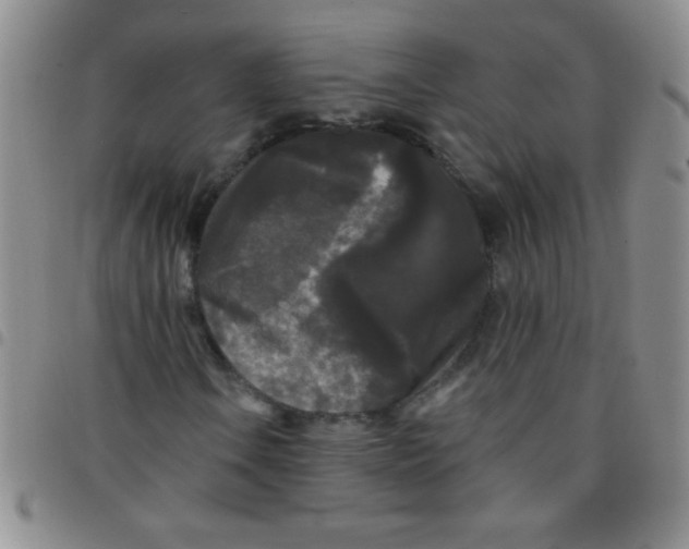 X0000097491106200803141951