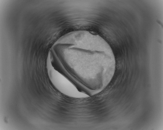 X0000097491108200803141951