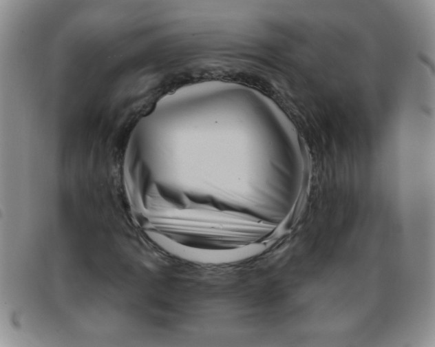 X0000097491109200803141951