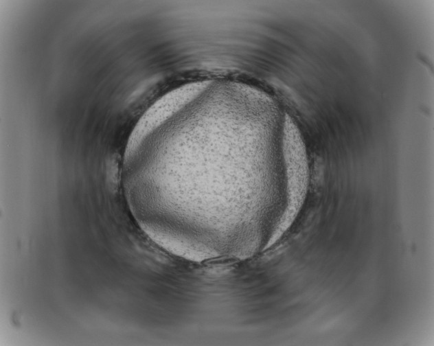 X0000097491110200803141951