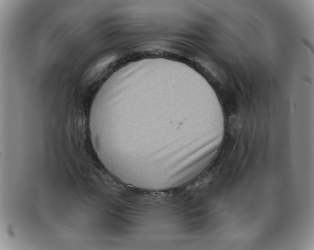 X0000097491111200803141951