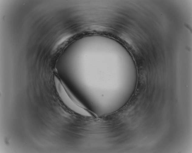 X0000097491112200803141951