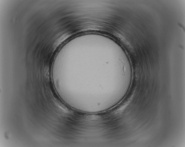 X0000097491113200803141951