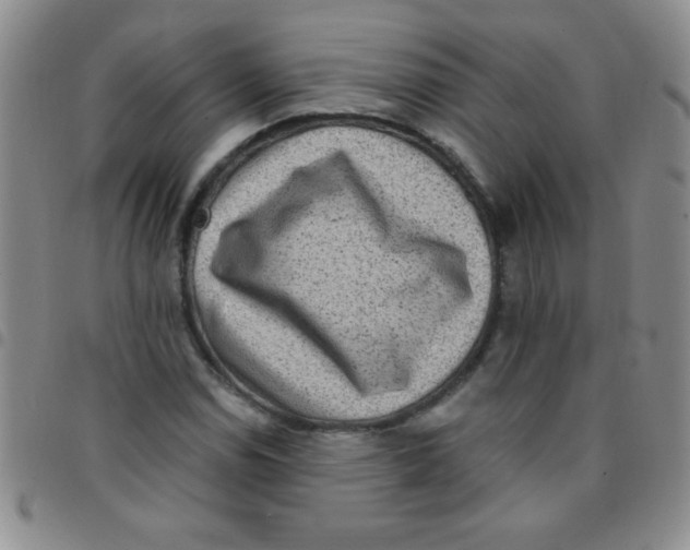 X0000097491114200803141951