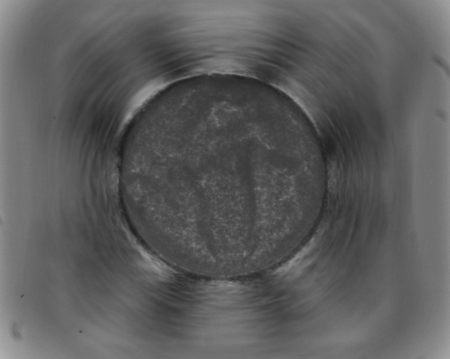 X0000097491115200803141951