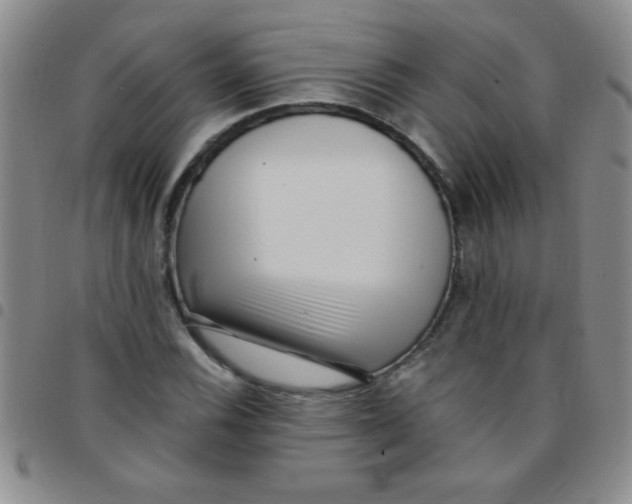 X0000097491116200803141951