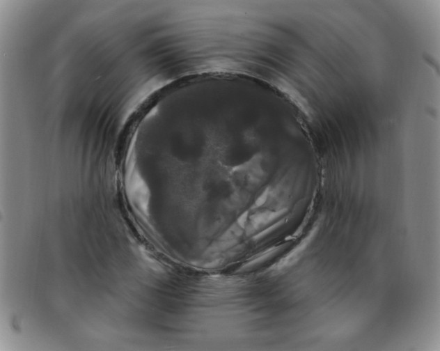 X0000097491117200803141951