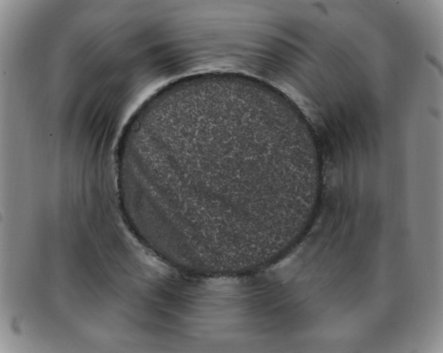 X0000097491118200803141951