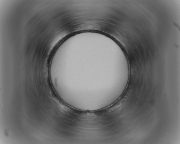 X0000097491119200803141951