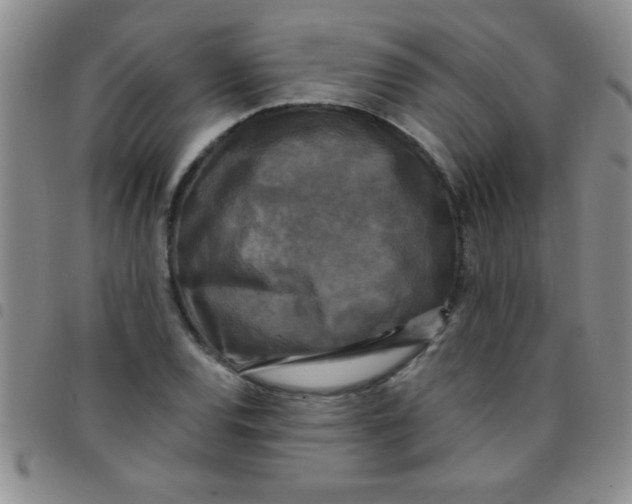 X0000097491120200803141951