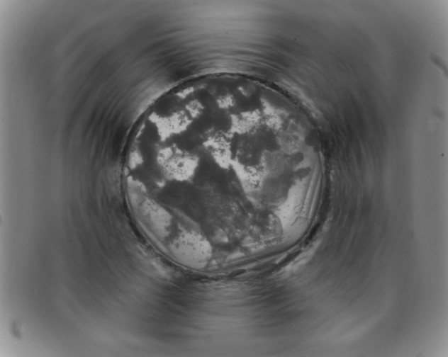 X0000097491121200803141951