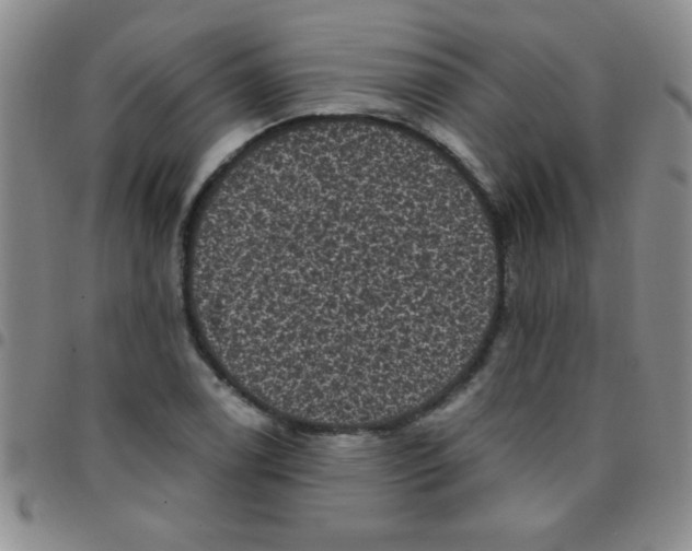 X0000097491122200803141951