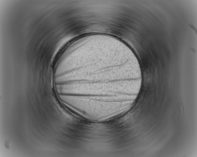 X0000097491123200803141951