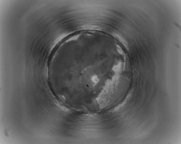 X0000097491125200803141951