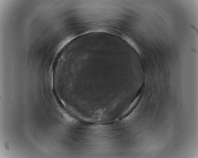 X0000097491127200803141951