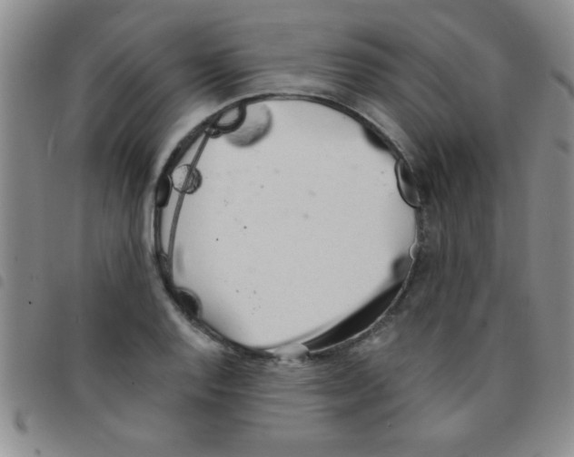 X0000097491128200803141951