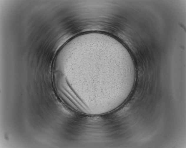 X0000097491129200803141951