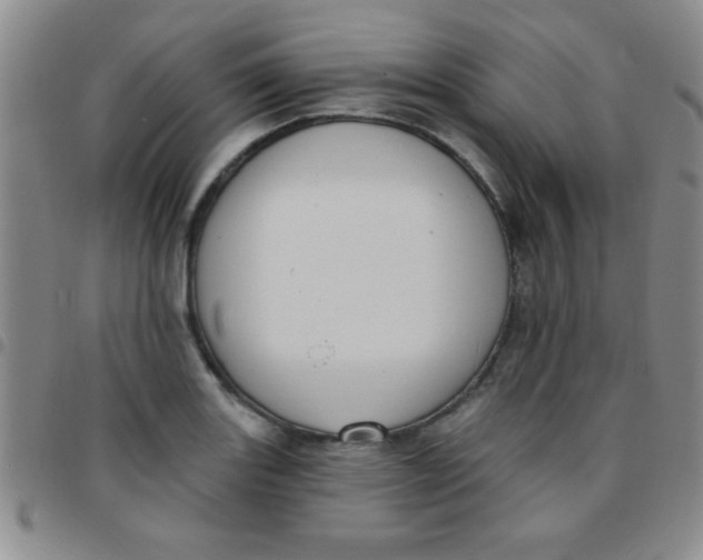 X0000097491131200803141951