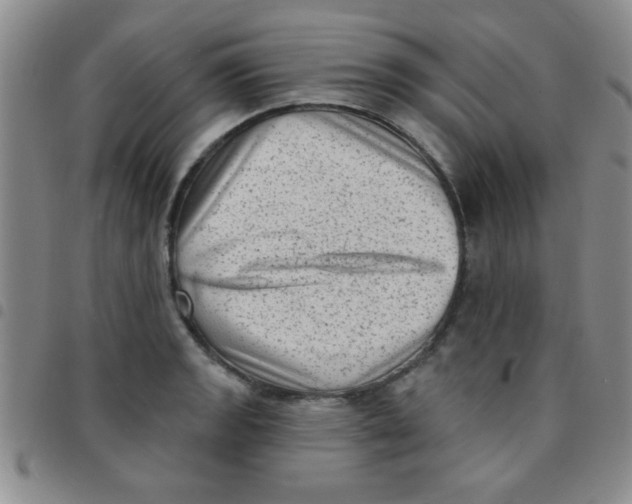 X0000097491133200803141951