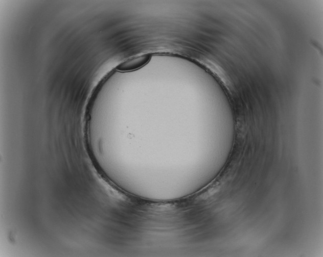 X0000097491135200803141951