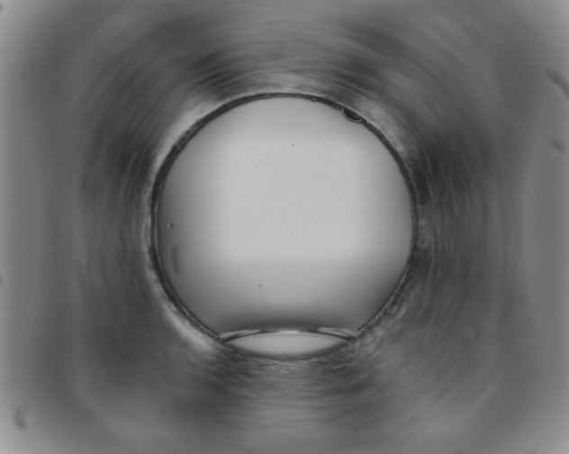 X0000097491136200803141951